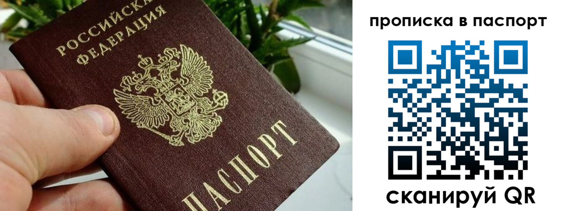 прописка для работы в Курске